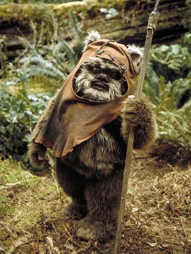 Cette image a un attribut alt vide ; le nom du fichier est ewok-1.webp